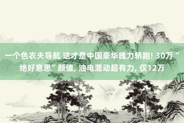 一个色农夫导航 这才是中国豪华魄力轿跑! 30万“绝好意思”颜值, 油电混动超有力, 仅12万