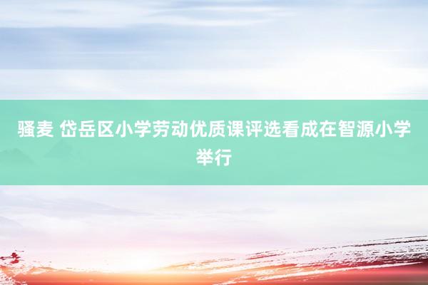 骚麦 岱岳区小学劳动优质课评选看成在智源小学举行