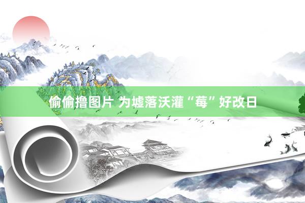 偷偷撸图片 为墟落沃灌“莓”好改日