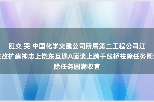 肛交 哭 中国化学交建公司所属第二工程公司江西梨东改扩建神志上饶东互通A匝谈上跨干线桥祛除任务圆满收官