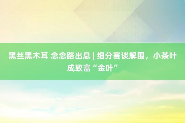 黑丝黑木耳 念念路出息 | 细分赛谈解围，小茶叶成致富“金叶”