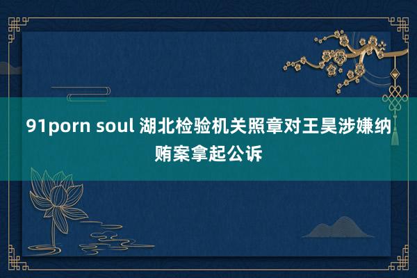 91porn soul 湖北检验机关照章对王昊涉嫌纳贿案拿起公诉