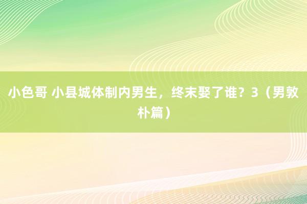 小色哥 小县城体制内男生，终末娶了谁？3（男敦朴篇）