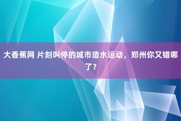 大香蕉网 片刻叫停的城市造水运动，郑州你又错哪了？