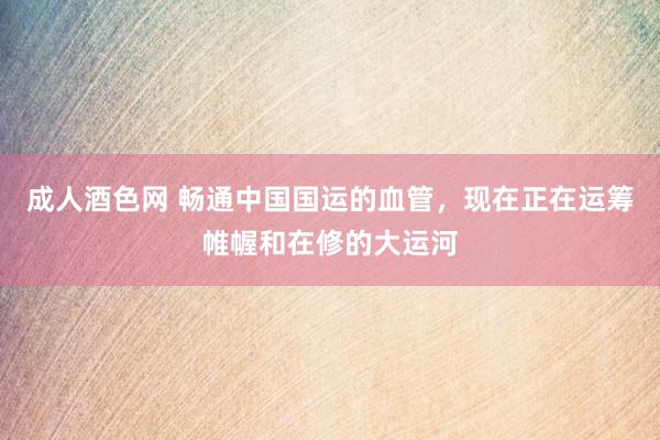 成人酒色网 畅通中国国运的血管，现在正在运筹帷幄和在修的大运河