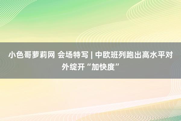 小色哥萝莉网 会场特写 | 中欧班列跑出高水平对外绽开“加快度”