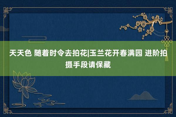 天天色 随着时令去拍花|玉兰花开春满园 进阶拍摄手段请保藏