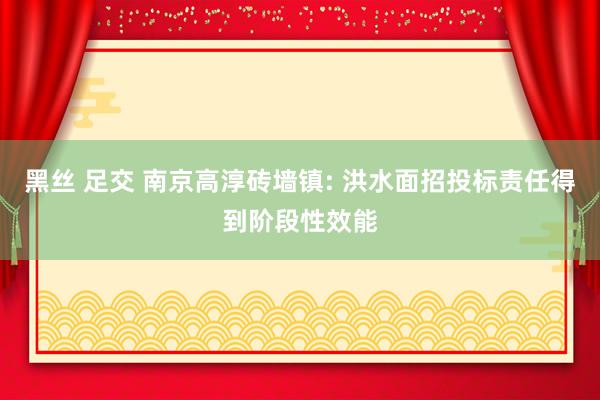 黑丝 足交 南京高淳砖墙镇: 洪水面招投标责任得到阶段性效能