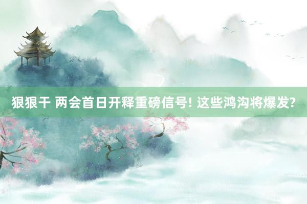 狠狠干 两会首日开释重磅信号! 这些鸿沟将爆发?