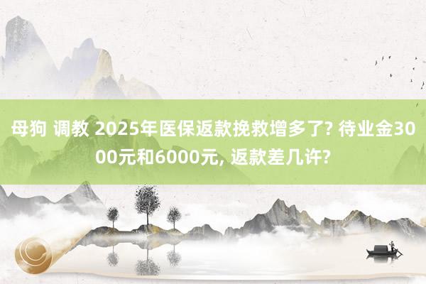 母狗 调教 2025年医保返款挽救增多了? 待业金3000元和6000元, 返款差几许?