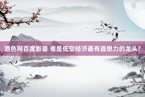酒色网百度影音 谁是低空经济最有遐想力的龙头?