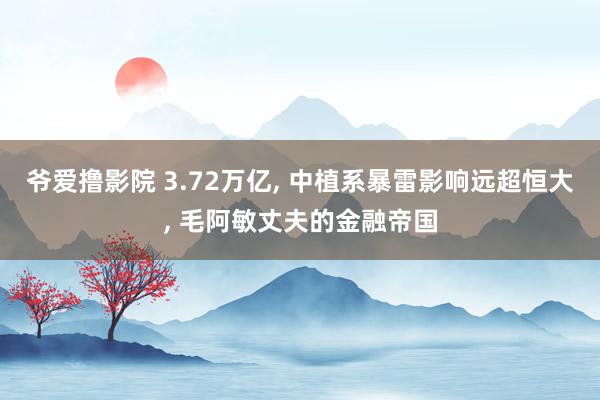 爷爱撸影院 3.72万亿, 中植系暴雷影响远超恒大, 毛阿敏丈夫的金融帝国