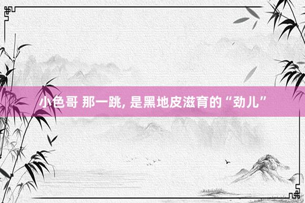 小色哥 那一跳, 是黑地皮滋育的“劲儿”