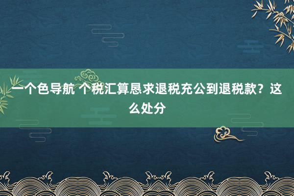 一个色导航 个税汇算恳求退税充公到退税款？这么处分
