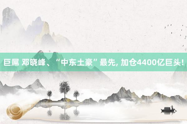 巨屌 邓晓峰、“中东土豪”最先, 加仓4400亿巨头!