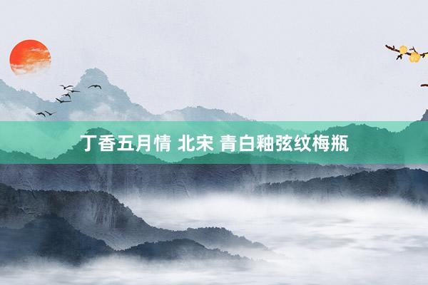 丁香五月情 北宋 青白釉弦纹梅瓶