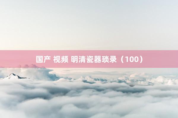 国产 视频 明清瓷器琐录（100）