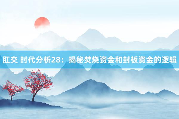 肛交 时代分析28：揭秘焚烧资金和封板资金的逻辑