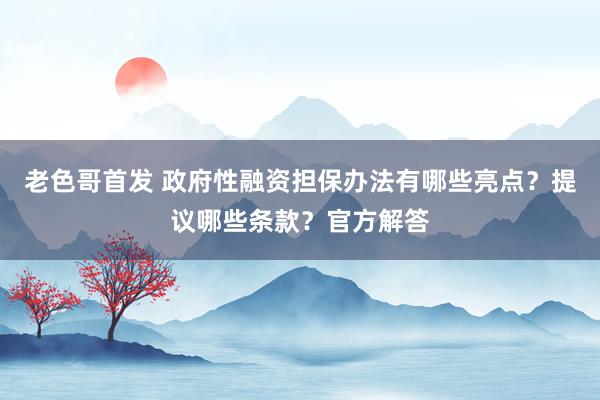 老色哥首发 政府性融资担保办法有哪些亮点？提议哪些条款？官方解答
